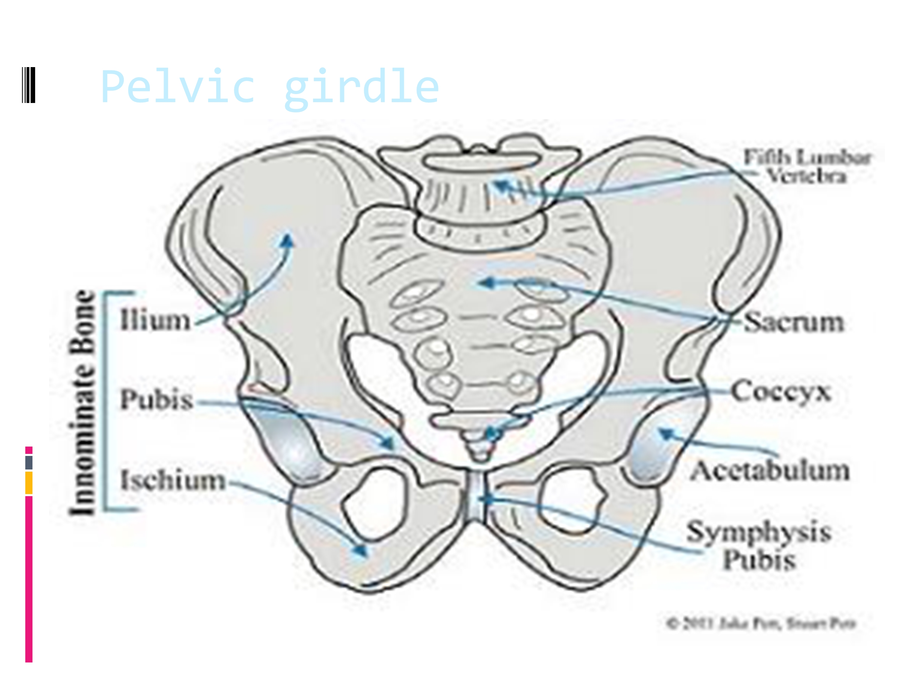 No preview available